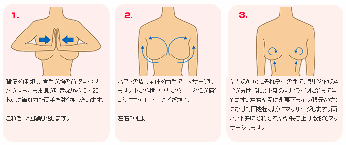 ぽっちゃり貧乳の私はこれでバストアップしました ぽっちゃりで貧乳な方のためのバストアップ方法